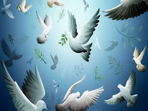 Barış İçin Edebiyatçılar’dan destek