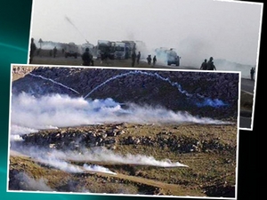 Nusaybin’den Cizre’ye yürümek isteyenlere müdahale