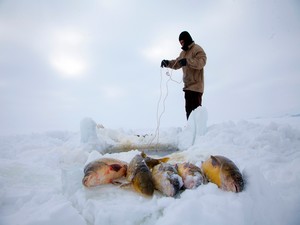 Ölümüne balık avı