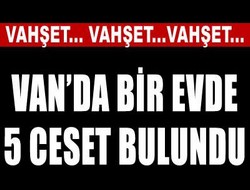 Van Erciş'te vahşet