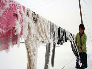 Van'ın Çaldıran ilçesinde hayat durdu