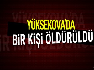 Yüksekova'da 1 kişi öldürüldü