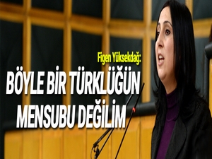 Yüksekdağ: Böyle bir Türklüğün mensubu değilim