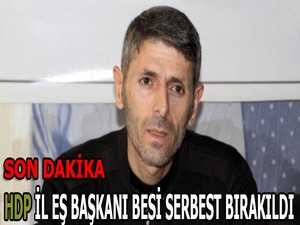 HDP İl Eş Başkanı Besi serbest bırakıldı