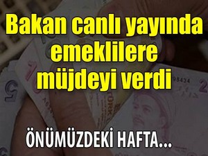 Bakan Soylu'dan emeklilere müjde
