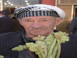 Kansere karşı Revas