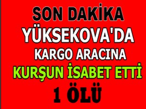 Yüksekova'da kargo aracına kurşun isabet etti, 1 ölü