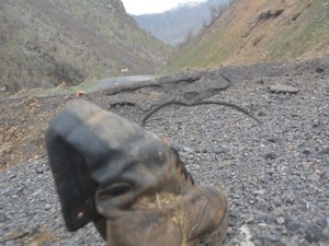 Şırnak karayolundaki tuzak imha edildi