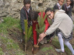 Hakkari SPK’dan yeşillendirme çalışması