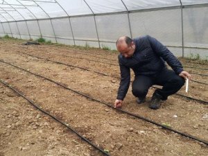 Hakkari'de sera dönemi başladı