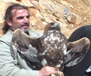 Tedavisi biten iki kaya kartalı doğaya bırakıldı