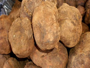 Şanlıurfa'nın yerelması etle yarışıyor