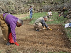 Sınır köylerinde bahar mesaisi başladı