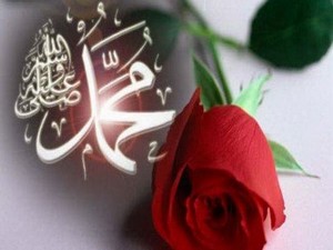 Kutlu Doğum Haftası programına davet