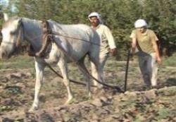 ÇİFTÇİLERE ÖDEME MÜJDESİ