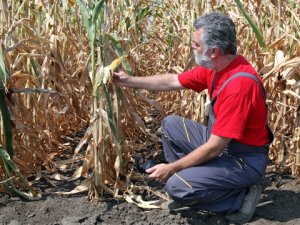 Tarihin en sıcak yazı geliyor