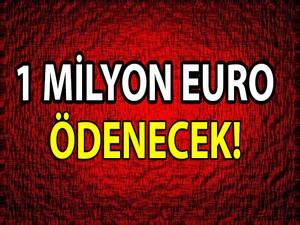 Türkiye, CHP'ye 1 milyon Euro ödeyecek