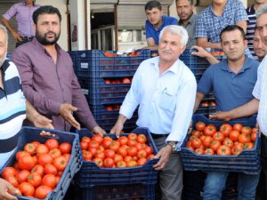 Domates satışlarına sınır kapısı darbesi