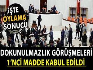 Dokunulmazlık görüşmeleri: 1’nci madde kabul edildi