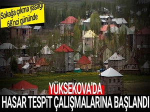 Yüksekova'da hasar tespit çalışmalarına başlandı