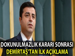 Demirtaş'tan ‘dokunulmazlık’ açıklaması