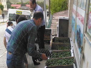 Damla tarım fidelerine büyük ilgi