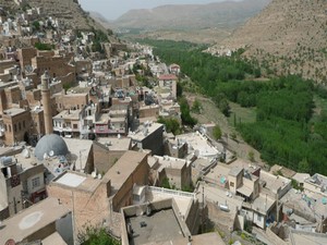 Mardin’in üç ilçesinde yasak ilan edildi