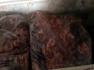 Aydın’da 5 ton kaçak domuz eti ele geçirildi