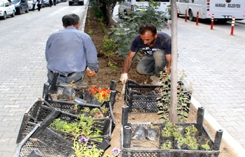Belediyeler refüjleri yeşillendiriyor