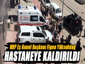 Figen Yüksekdağ Van'da Hastaneye Kaldırıldı