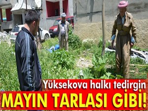 Yüksekova'da patlamamış mühimmat korkutuyor