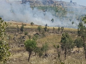 Şemdinli Anadağ köyünde yangın çıktı