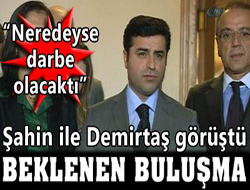 Şahin ile Demirtaş görüştü