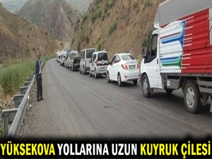 Yüksekova Yollarında Uzun Kuyruk Çilesi