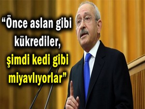 “Önce aslan gibi kükrediler, şimdi kedi gibi miyavlıyorlar”