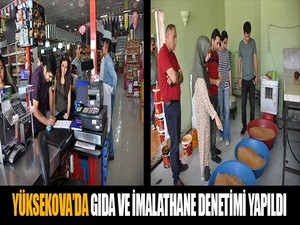 Yüksekova'da Gıda ve İmalathane Denetimi Yapıldı