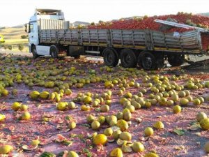 Karpuzlar yola savruldu