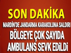 Jandarma karakoluna saldırdı