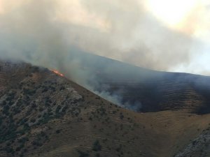 Hakkari-Van karayolundaki ormanlık alanı yanıyor