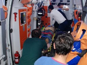 Hızla gelen aracın çarptığı çoban öldü