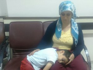 Hakkari’de ishal vakalarında büyük artış
