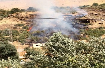 Depin tarım alanı alev aldı