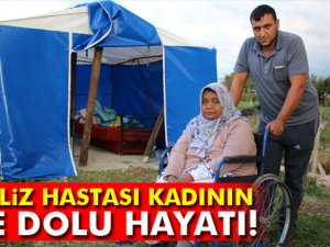 Yaşlı annenin çadırda yürek burkan dramı