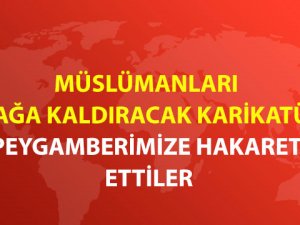 Avrupa Konseyi'nde Skandal Karikatür!