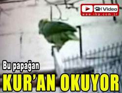Bu papağan Kur'an okuyor