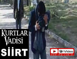 Kurtlar vadisi siirt