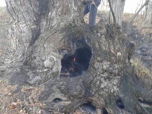 Durankaya'da korkutan yangın!