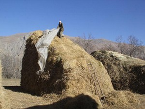 Hakkari'li besicilerin kış mesaisi!