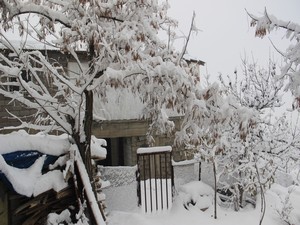 Hakkari'nin yüksek kesimlerde kar 1 metreyi aştı!