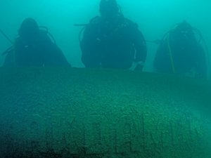 Çok şaşıracaksınız Van'da bulundu!